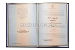 диплом СФГА 2004-2009