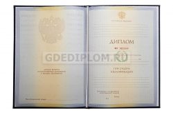 диплом СФГА 2010-2011