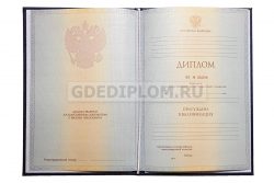 диплом СФГА 2012-2013